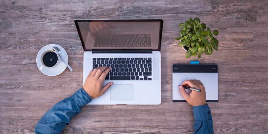 professional web designer