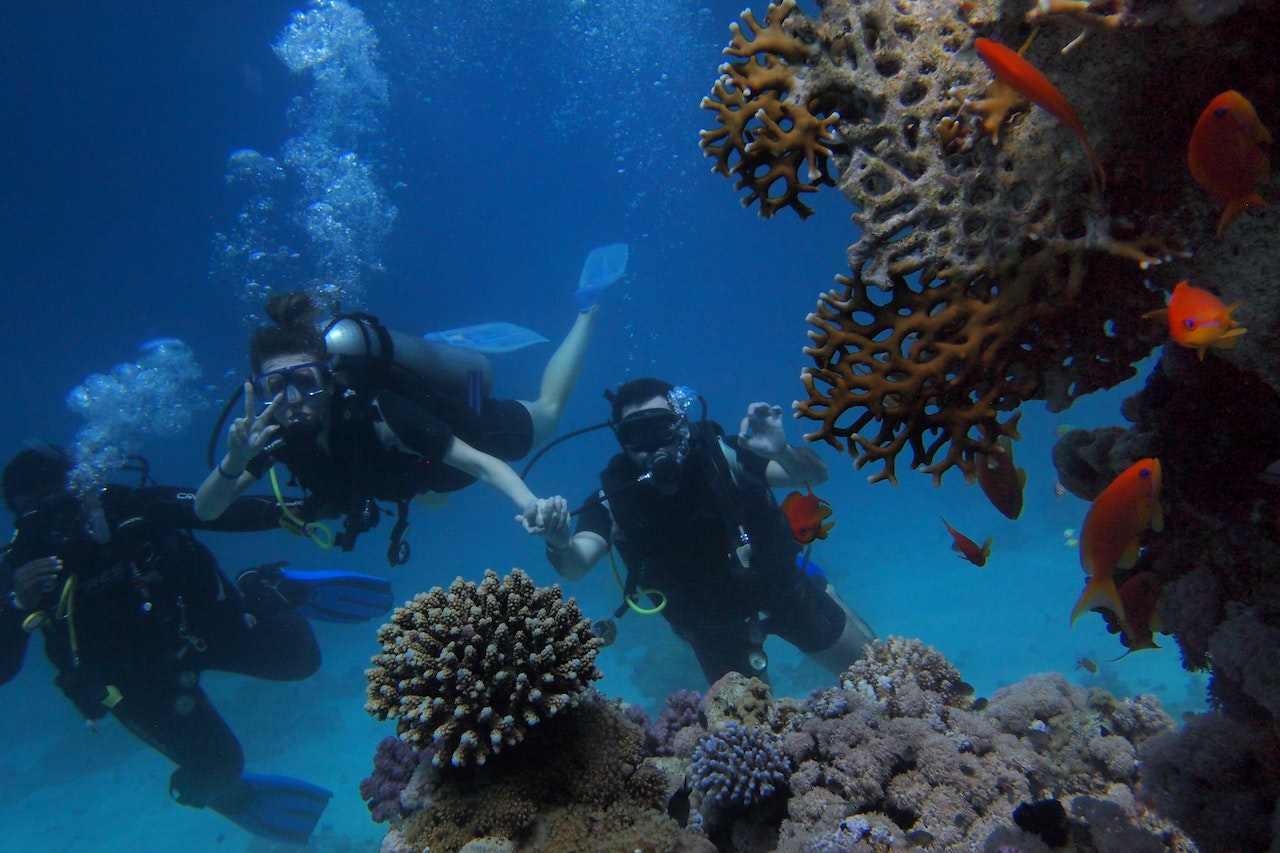divers